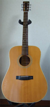 Guitar morris w18