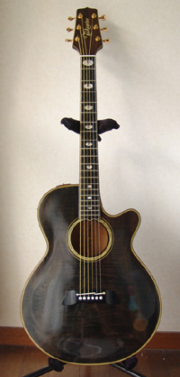 Takamine（タカミネ）/PT-118ST 【USED】エレクトリック・アコースティックギター【ららぽーと磐田店】