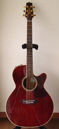 Takamine TDP500SP-WR