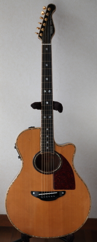 YAMAHA APX