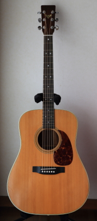 Martin D-76